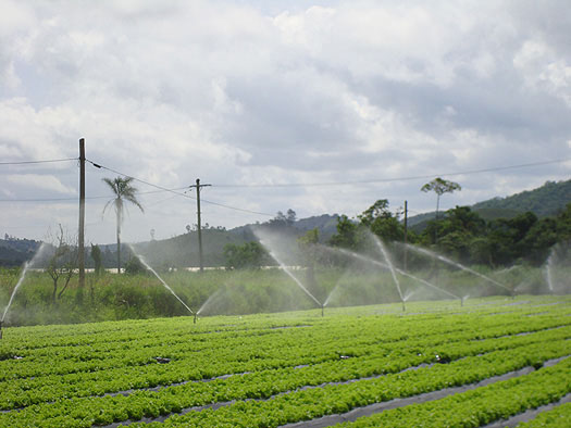 Irrigação